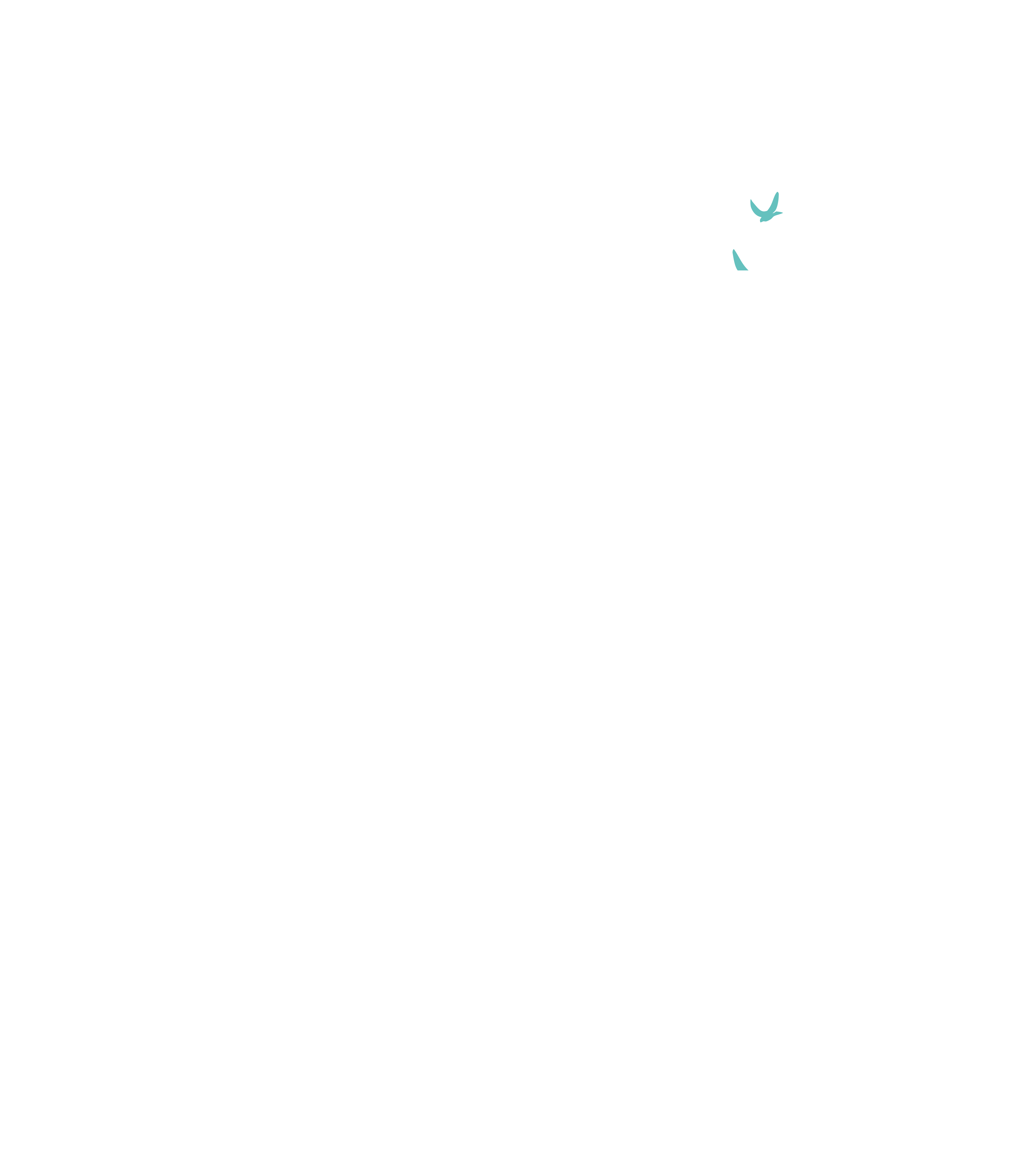 Arden University